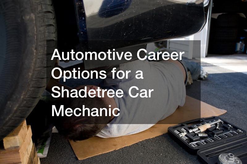 Career options for a shadetree car mechanic
